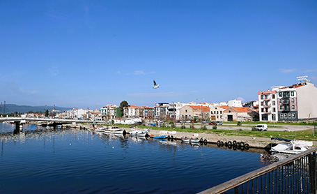 Saricay
